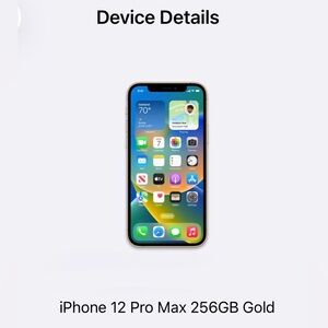 Apple iPhone 12 Pro Max - 256GB Gold Finish - 100% Functional!